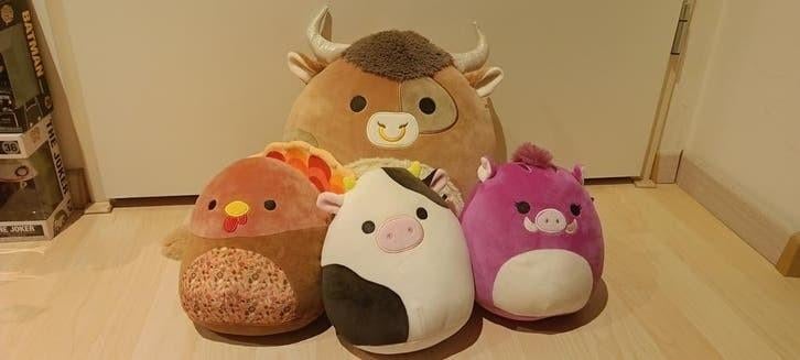 5x Originele squishmallows set ALLEEN OPHALEN, Ophalen of Verzenden, Overige typen
