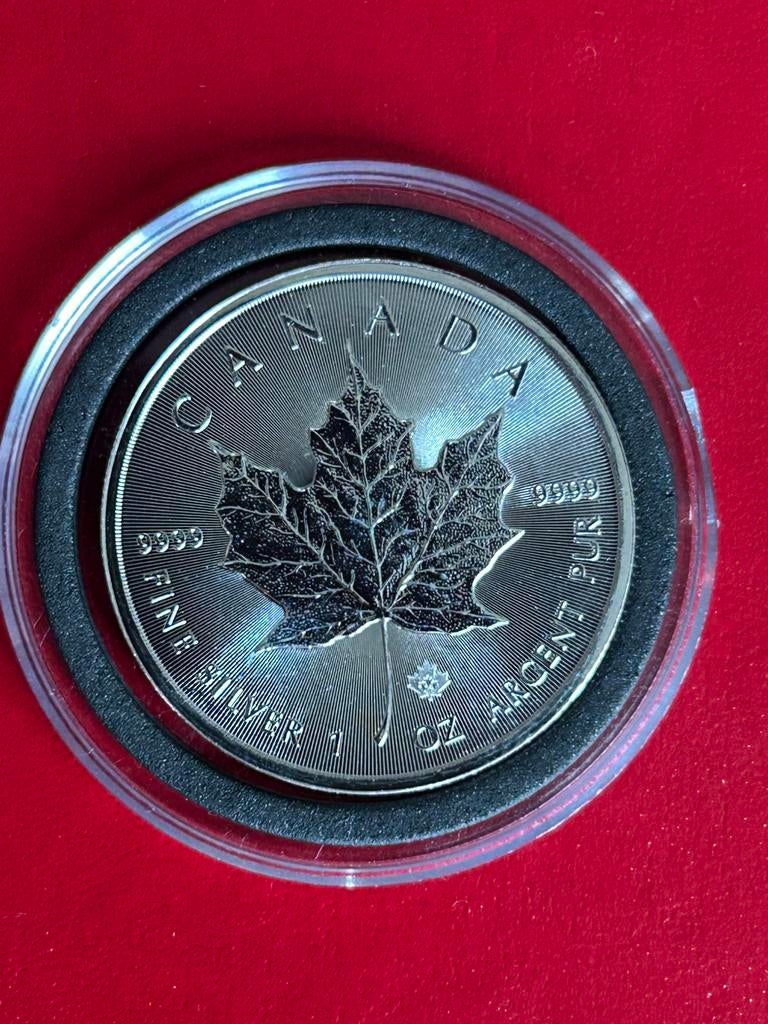 2014 Zilveren Canada Maple Leaf 5 Dollar 1 Oz 999,9/1000, Postzegels en Munten, Edelmetalen en Baren, Verzenden, Zilver