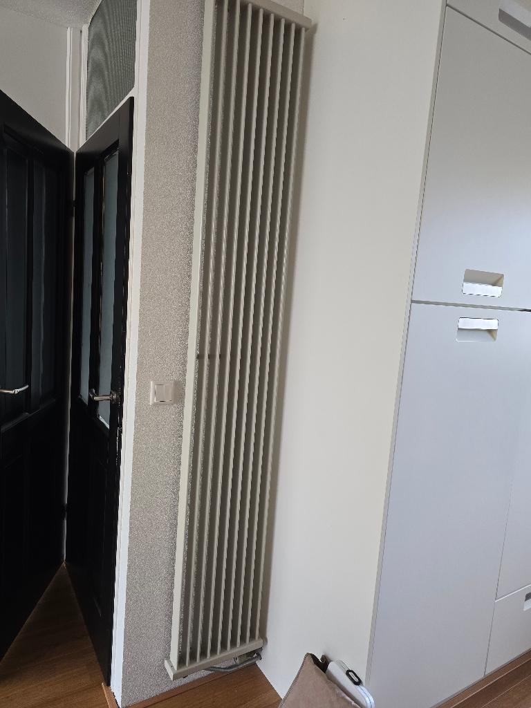 Radiator verticaal, Doe-het-zelf en Verbouw, Verwarming en Radiatoren, Ophalen, Gebruikt, Radiator, Minder dan 60 cm