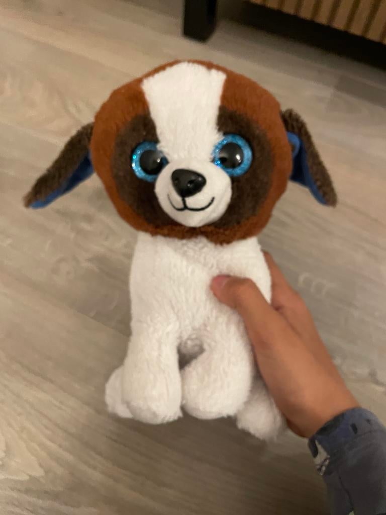 Schattige Ty Beanie Boo hond knuffel met grote ogen, Ophalen, Hond, Zo goed als nieuw, Middelgroot (20 tot 80 cm)