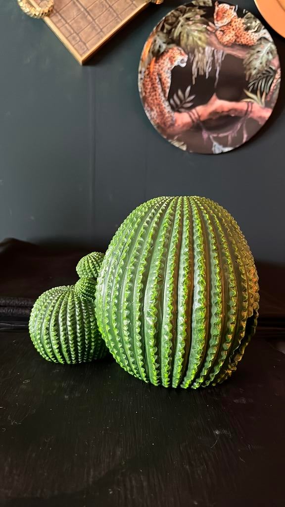 Huisje voor Terrarium Gekko cactus, Dieren en Toebehoren, Ophalen of Verzenden, Nieuw, Terrarium of Paludarium