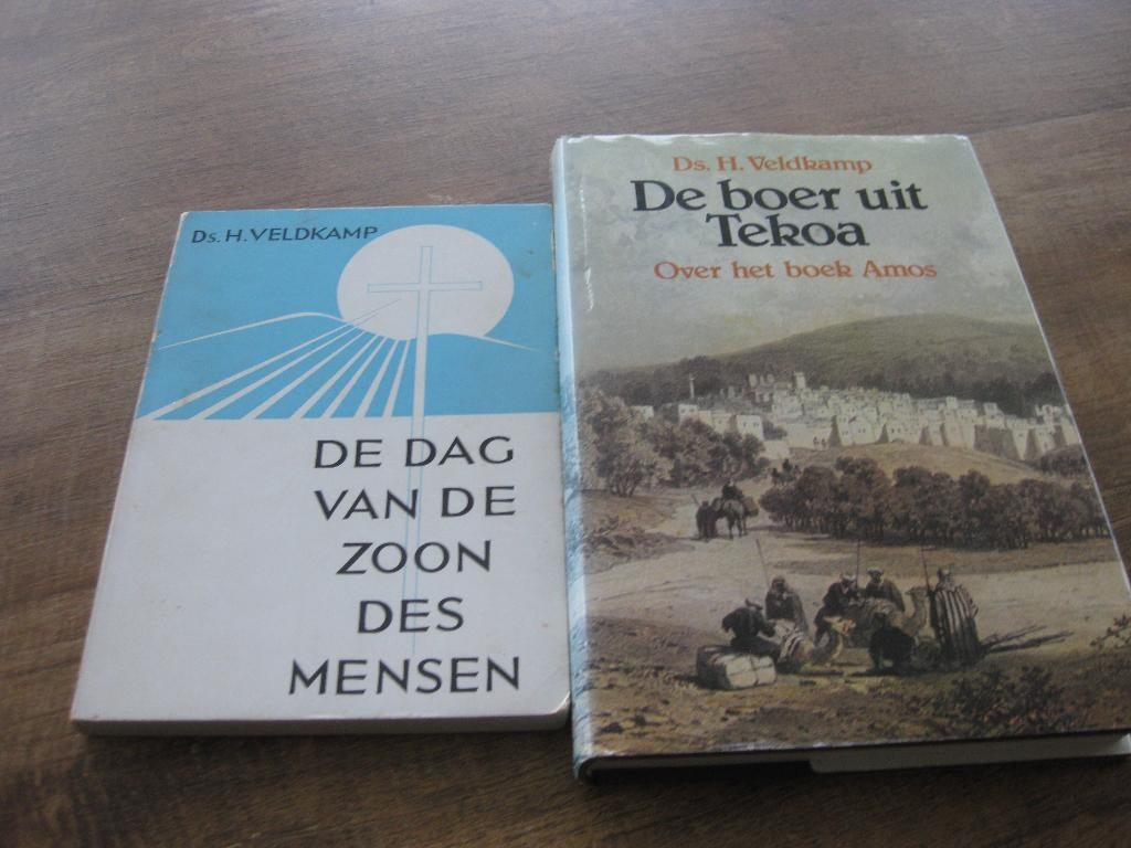 2 boeken van Ds. H. Veldkamp, Boeken, Ophalen of Verzenden, Zo goed als nieuw, Ds. H. Veldkamp, Christendom | Protestants