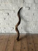 Kudu hoorn shofar koedoe gewei, Ophalen, Zo goed als nieuw, Hert, Gewei of Kop