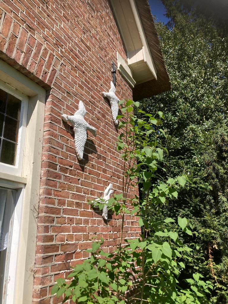 Gips / stenen vogels voor op de muur, Dieren en Toebehoren, Meerdere dieren, Overige soorten