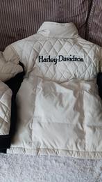 Harley-Davidson gewatteerde jas - Maat L, Ophalen, Harley-Davidson, Jas | textiel, Heren