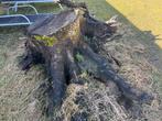 Boomstronk voor haardhout, Tuin en Terras, Haardhout, Minder dan 3 m³, Ophalen