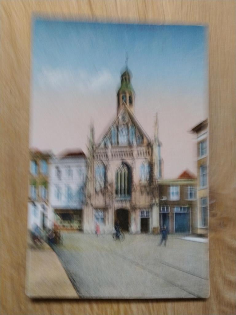 ansicht den bosch / s-herogenbosch begin hinthamerstraat, Verzenden, Voor 1920, Ongelopen, Noord-Brabant