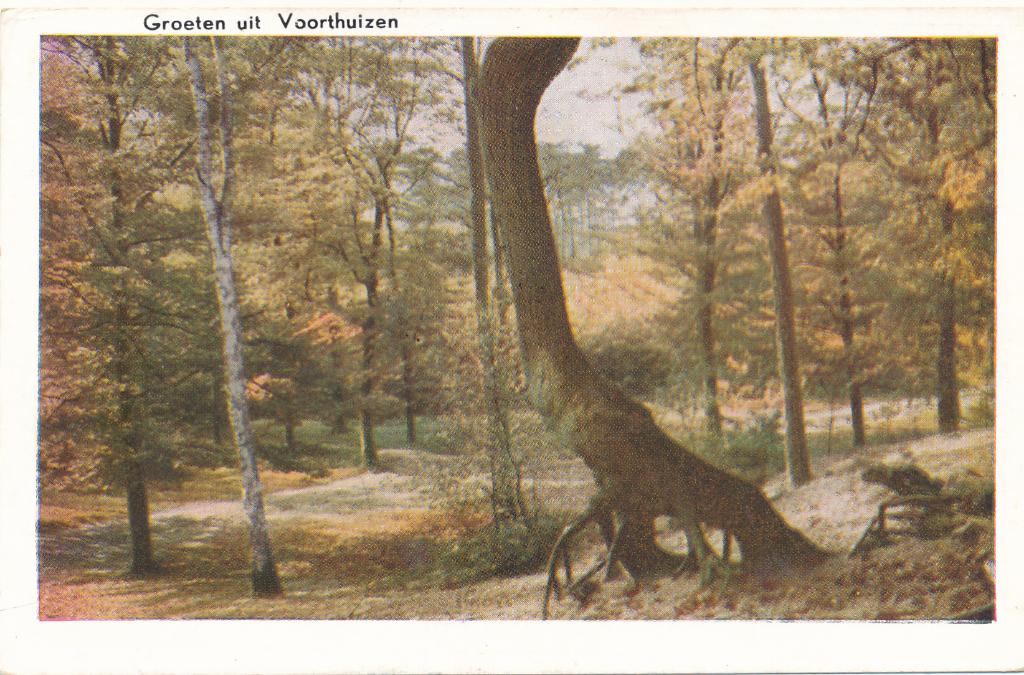 9809 Groeten uit Voorthuizen, Verzamelen, Ophalen of Verzenden, 1940 tot 1960, Gelderland