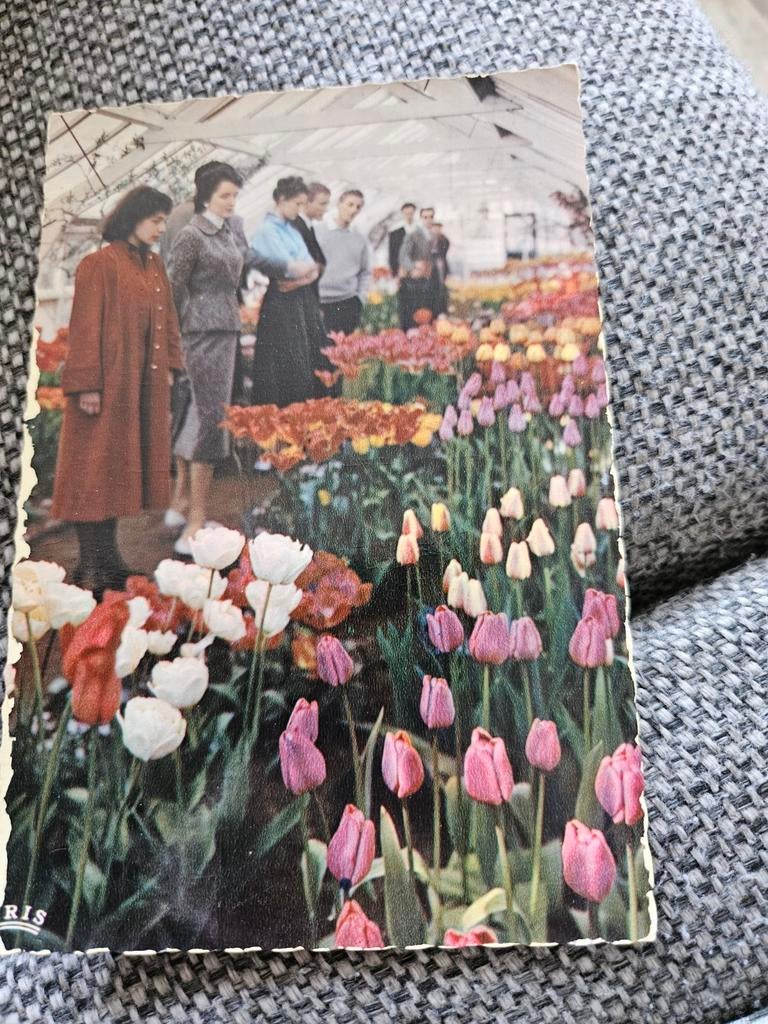 Bloemenexpositie Keukenhof Holland retro, Ophalen of Verzenden