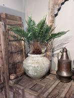 Kunstplant Varen 66 cm, Ophalen of Verzenden