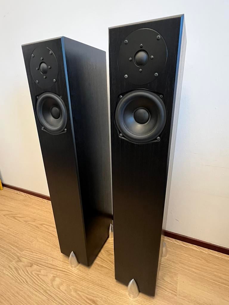 Totem Staff vloerstaande luidsprekers, Audio, Tv en Foto, Luidsprekers, Gebruikt, 120 watt of meer, Front, Rear of Stereo speakers