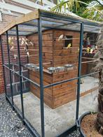 Kanaries uit buiten volière, Dieren en Toebehoren, Vogels | Hokken en Kooien, Ophalen of Verzenden, Hout, Volière