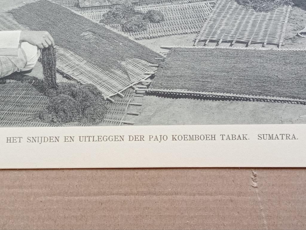 Foto gravure Nederlands Indië Sumatra 1910, Verzamelen, Ophalen of Verzenden