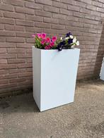 20x Witte Metalen Plantenbak voor Binnen & Buiten, Ophalen, Minder dan 60 cm, Vierkant, Nieuw