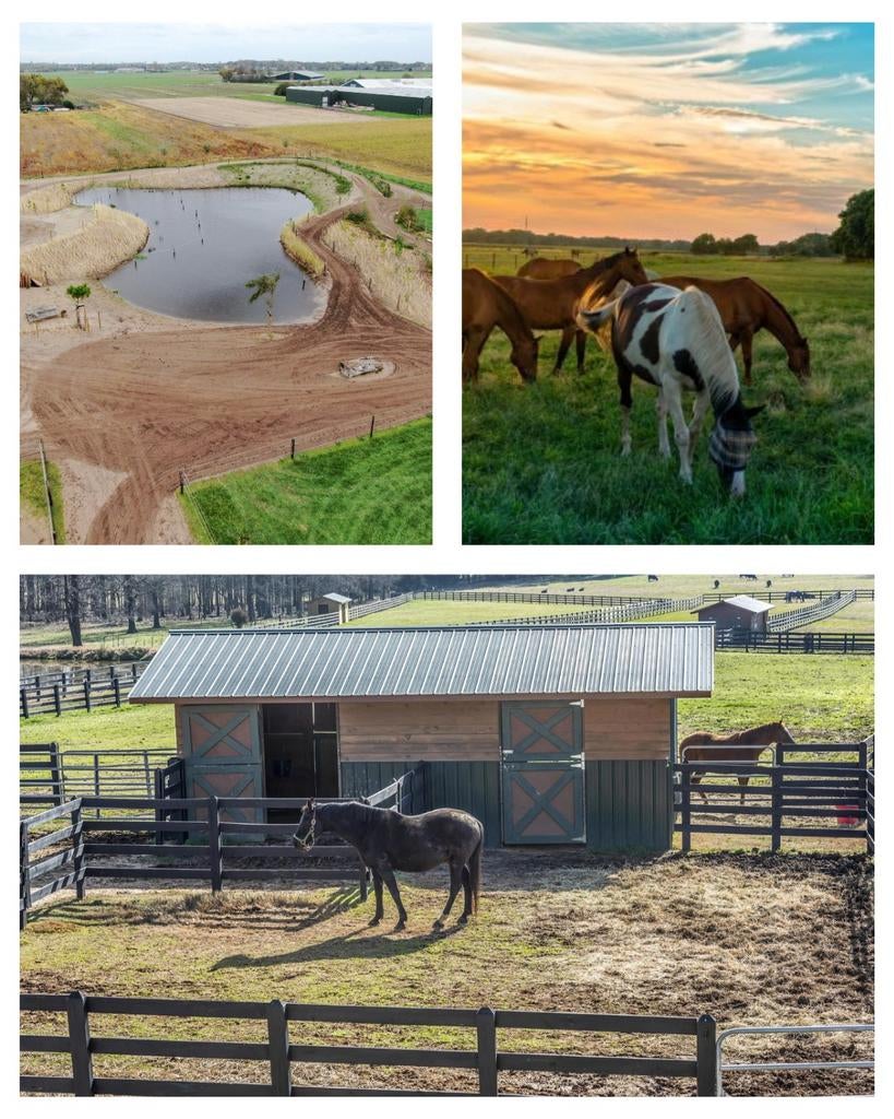 Gezocht plekje voor mijn 2 paardjes., Dieren en Toebehoren, Stalling en Weidegang