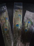 Pauwenveren - 10 stuks per zak, Huis en Inrichting, Woonaccessoires | Droogbloemen, Ophalen of Verzenden, Nieuw