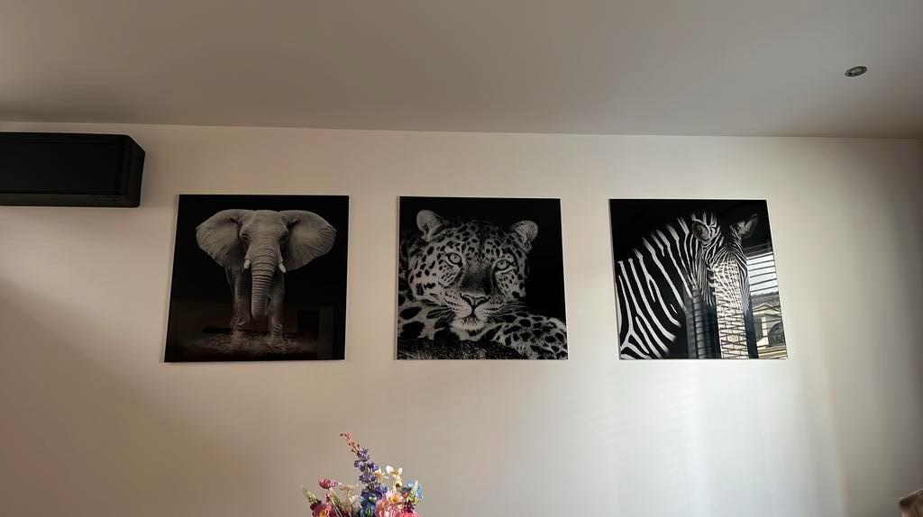 Glasschilderijen 3 stuks  dieren PTMD 80x80cm, Ophalen