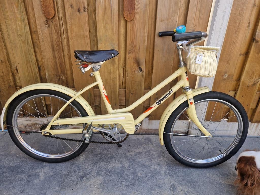 Meisjesfiets met mand 20inch, Fietsen en Brommers, Fietsen | Meisjes, Ophalen, Gebruikt, 20 inch