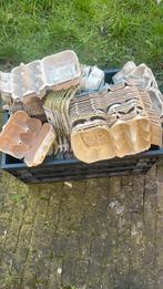 Eierdozen 6 st, Dieren en Toebehoren, Pluimvee | Toebehoren, Ophalen of Verzenden, Gebruikt, Overige typen