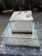 Glazen vitrine met twee lagen, Huis en Inrichting, Kasten | Vitrinekasten, Ophalen, Met plank(en), Minder dan 50 cm, Gebruikt