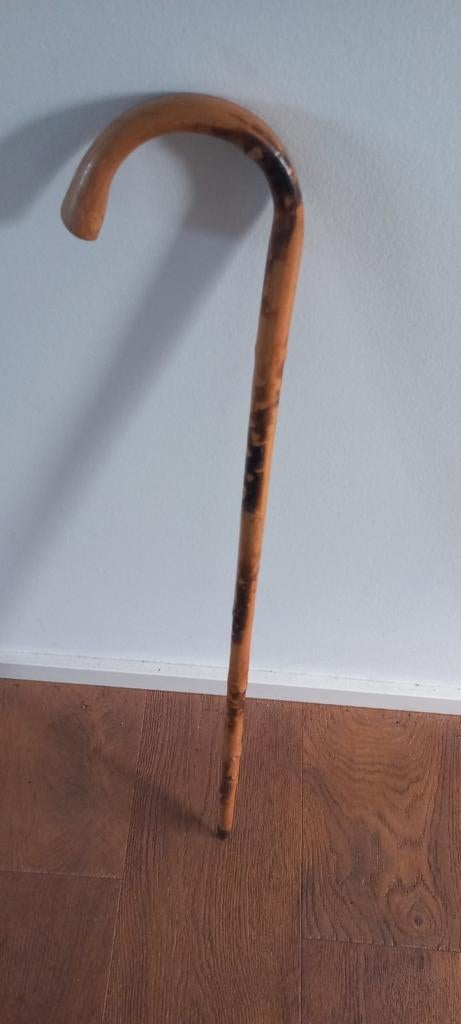 Wandelstok met punt, Ophalen of Verzenden