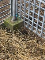 Flexibele supersterke demontabele schapen/geitenstal., Meerdere dieren, Schaap