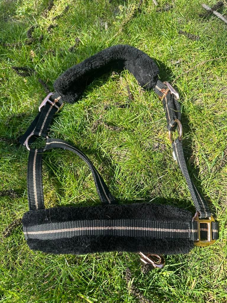 Leuk gloed nieuw halster, Ophalen of Verzenden, Nieuw, Overige soorten