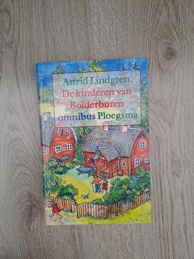 Astrid Lindgren de kinderen van de Bolderburen kinderboek, Ophalen of Verzenden, Nieuw, Astrid Lindgren, Fictie algemeen