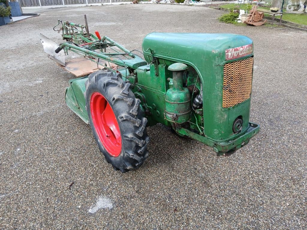 Tuinfrees, Ophalen of Verzenden