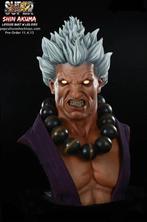 PCS Shin Akuma Life Size Bust Street Fighter, Ophalen of Verzenden, Zo goed als nieuw