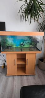 Aquarium groot, Ophalen of Verzenden, Zo goed als nieuw, Leeg aquarium