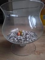 Vissenkom inclusief steentjes en Nemo, Ophalen, Zo goed als nieuw, Leeg aquarium