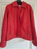 Nieuwe rode leren jasje Samsoe Samsoe maat S, Nieuw, Ophalen of Verzenden, Samsoe Samsoe, Maat 36 (S)