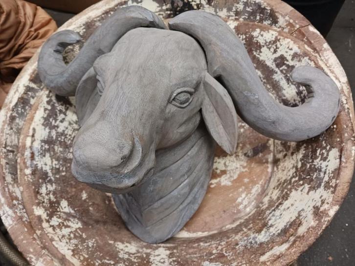 Houten Buffelkop Wanddecoratie, Antiek en Kunst, Kunst | Beelden en Houtsnijwerken, Ophalen of Verzenden