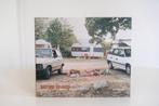 Andrew Phelps - Nature de luxe, Ophalen of Verzenden, Gelezen, Fotografen