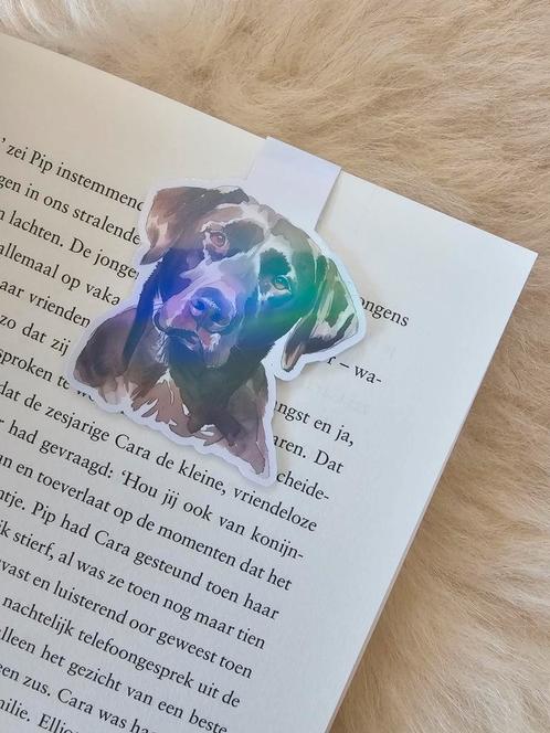 Magnetische boekenlegger labrador chocolade bruin regenboog, Verzamelen, Boekenleggers, Nieuw, Ophalen of Verzenden