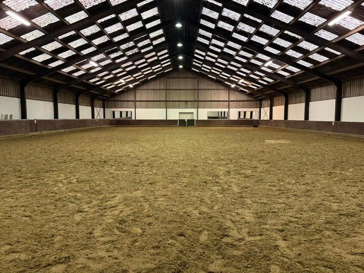 pensionstalling & training in Zuid-Beijerland, Dieren en Toebehoren, Stalling en Weidegang, Stalling, Weidegang, 4 paarden of pony's of meer