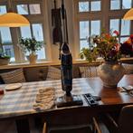 Bissell Vac & Steam - Stoomreiniger, Ophalen, Gebruikt