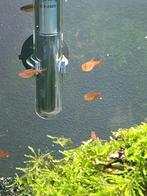 Te koop 6 vuurtetra., Ophalen