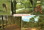 Utrechtse Heuvelrug - 5 afb natuur - 1994 gelopen, Ophalen of Verzenden, 1960 tot 1980, Gelopen, Gelderland