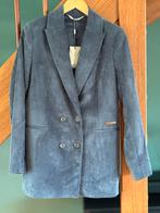 Moscow Blauw Grijze Corduroy Blazer maat XS - Nieuw!, Blauw, Nieuw, Ophalen of Verzenden, Jasje