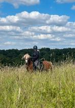 Leuke Welsh A pony te koop!, Dieren en Toebehoren, Pony's, A pony (tot 1.17m), 3 tot 6 jaar, Met stamboom, Recreatiepony