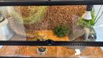 Overcompleet Exo Terra terrarium 90x45x45cm, Dieren en Toebehoren, Ophalen, Gebruikt, Terrarium of Paludarium