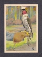 Roofvogel Slechtvalk Gehuifd (1)., Verzamelen, Ansichtkaarten | Dieren, 1960 tot 1980, Vogel, Ophalen of Verzenden