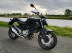 Suzuki Gladius 650 SFV ABS 2016, 2 cilinders, Motorrijbewijs A, Particulier, Meer dan 35 kW