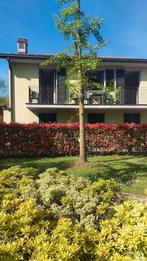 Appartement aan het meer van Lugano, Porlezza, Italië, Vakantie, Internet, Dorp, Lombardije en Merengebied, Appartement