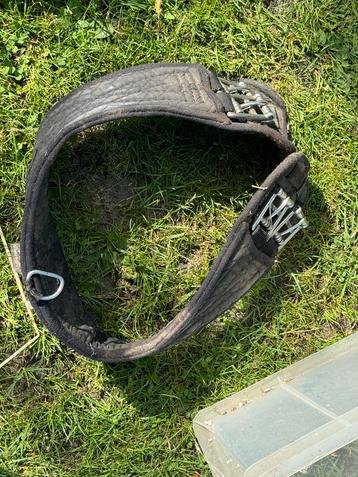Singel paard beschikbaar voor biedingen