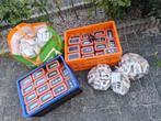 Grote partij armbanden, Ophalen, Overige kleuren, Nieuw, Leer