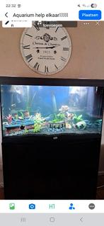 Aqualantis, Dieren en Toebehoren, Ophalen, Zo goed als nieuw, Gevuld zoetwateraquarium