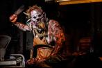 Walibi fright night VANDAAG!!, Tickets en Kaartjes, Eén persoon, Ticket of Toegangskaart